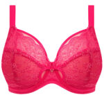 BIUSTONOSZ DARCIE - obrazek 3