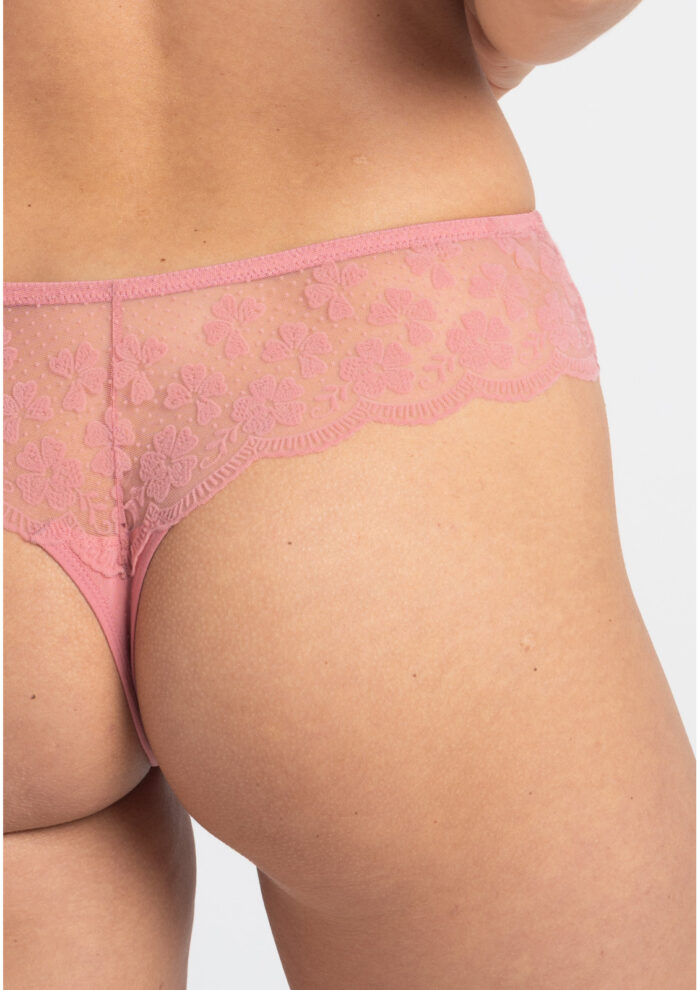 STRINIGI ROSE C400 - obrazek 2